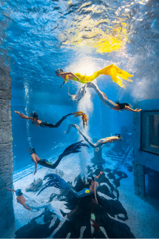 上新!正佳极地海洋世界美人鱼《鲛人魅影》全新上线 创作灵感首度曝光