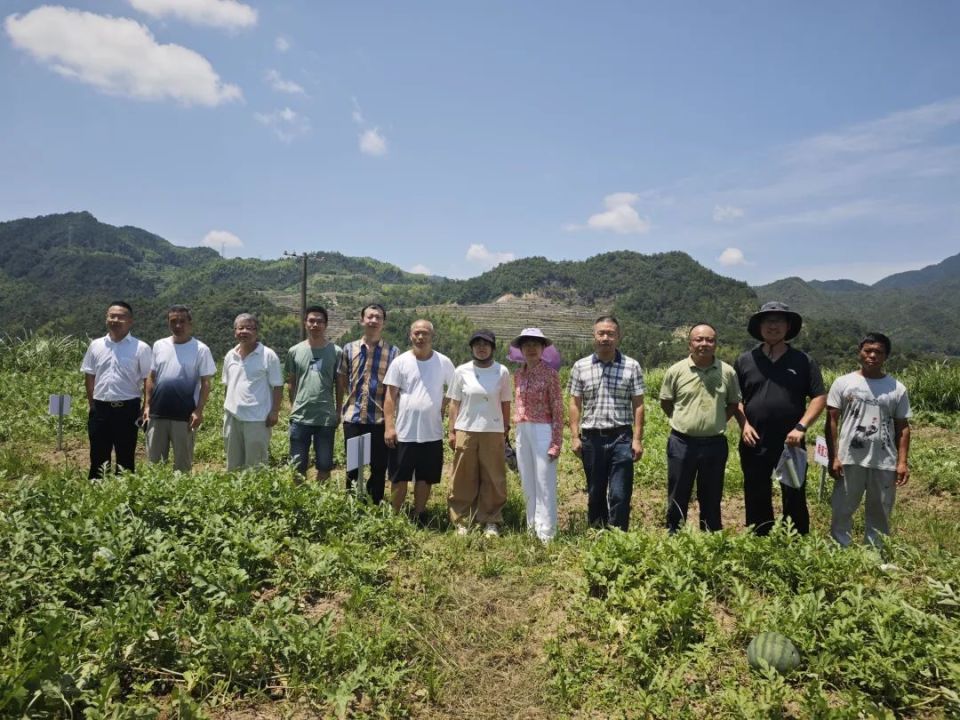 该基地由我县与宁波市农业科学研究院共同合作开发,也是我县目前西瓜