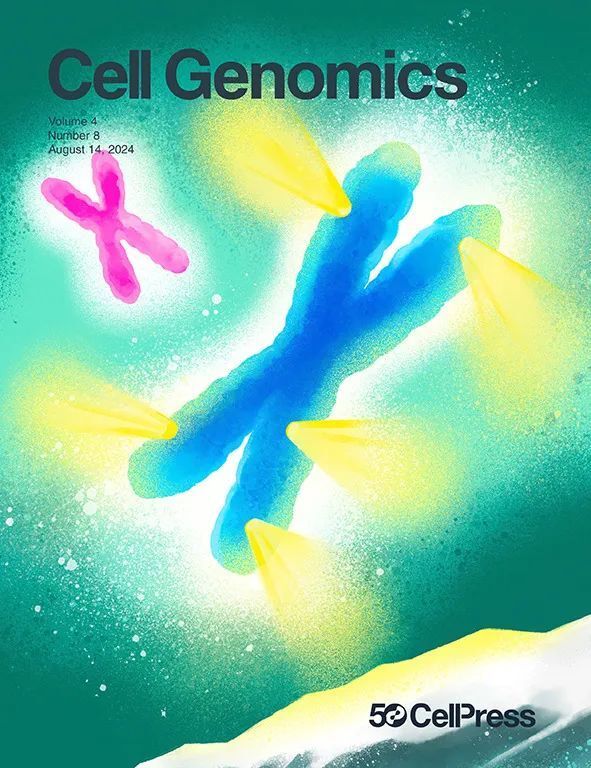 2024年8月，哪些研究登上了Cell Press期刊封面？_腾讯新闻