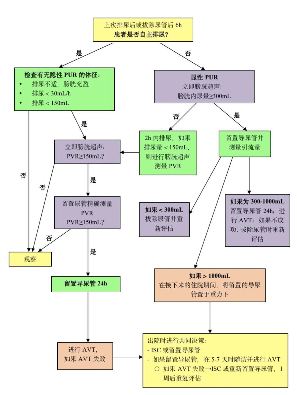 导尿思维导图怎么画图片