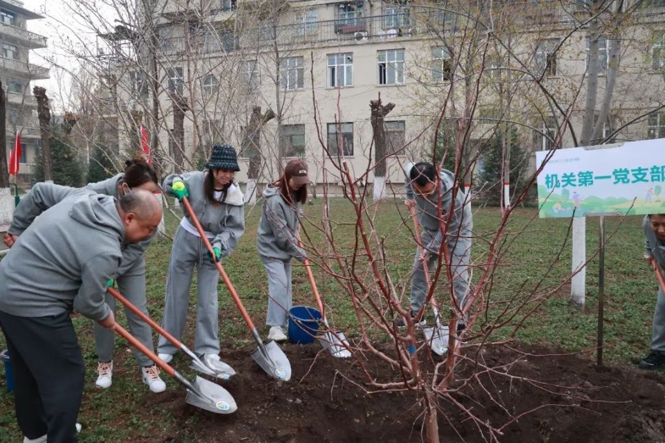 【4·20森工植树日】林区各地:共"植"新绿   同"树"未来