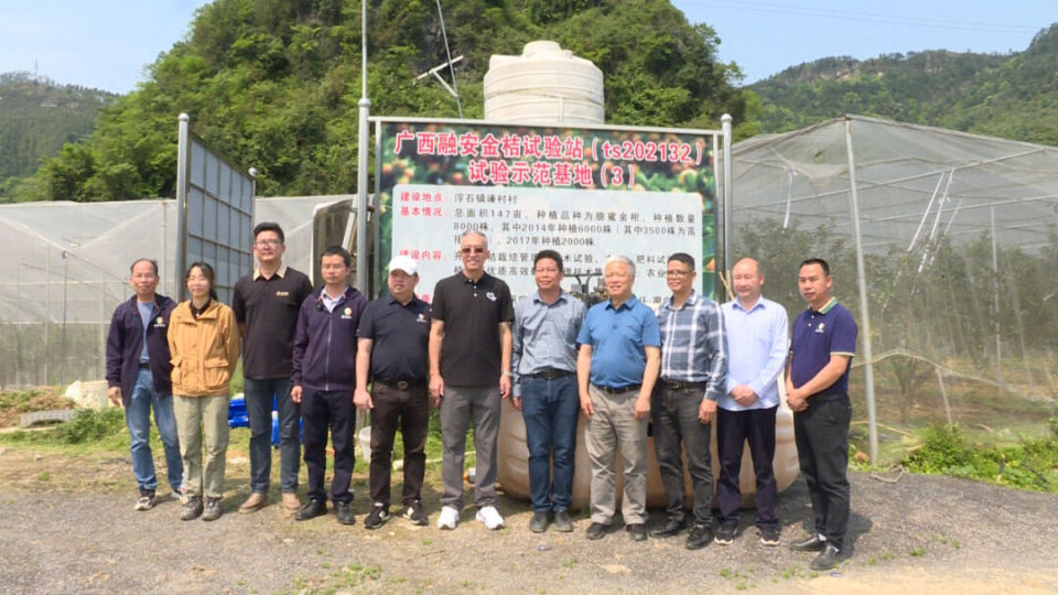 西南大学邓烈教授一行到融安调研金桔产业_腾讯新闻