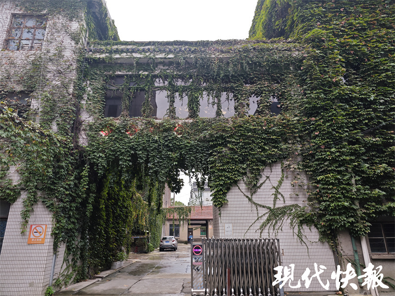 苏州这家乐器厂将迎来70岁生日，年产二胡8万把箜篌上千架-腾讯新闻