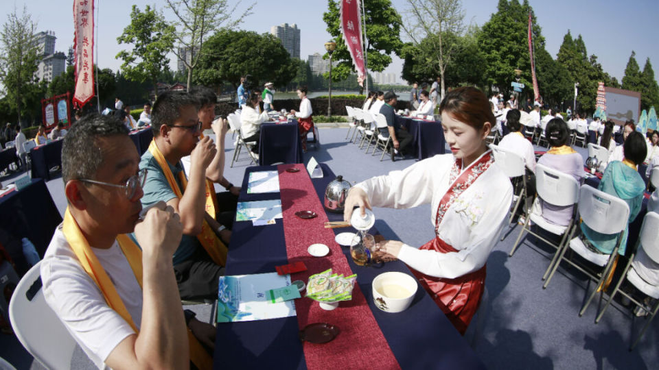 茶和世界 共品共享丨2024国际茶日(天门)纪念活动举行