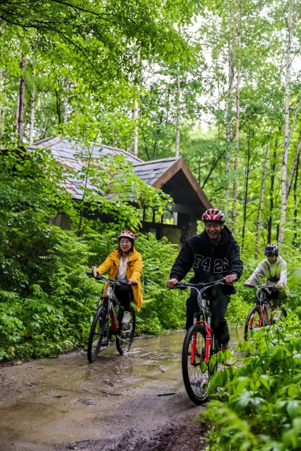 共赴旅游发展大会,体验吉林22℃的夏天!
