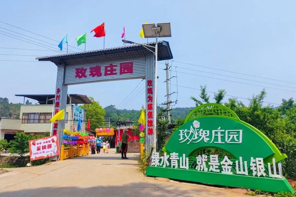 乐山雷沟村玫瑰庄园图片