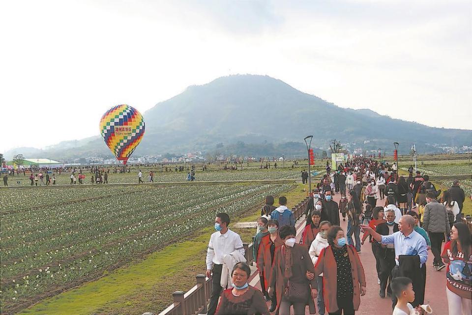 圓山腳下的水仙花海遊人如織.陳藝潔 攝