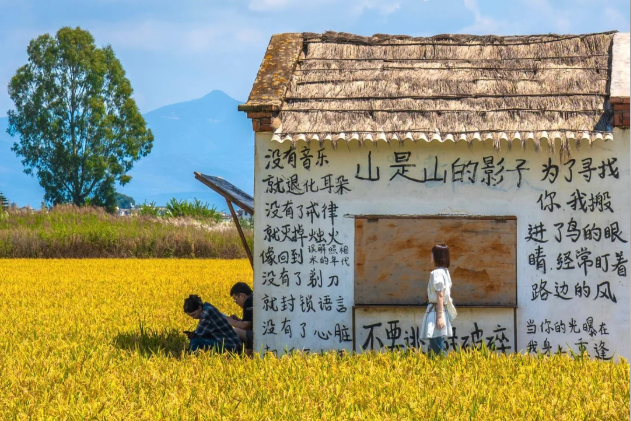 风景文创 | 稻田里种出艺术，看秧苗如何“画”出乡村振兴新图景_腾讯新闻