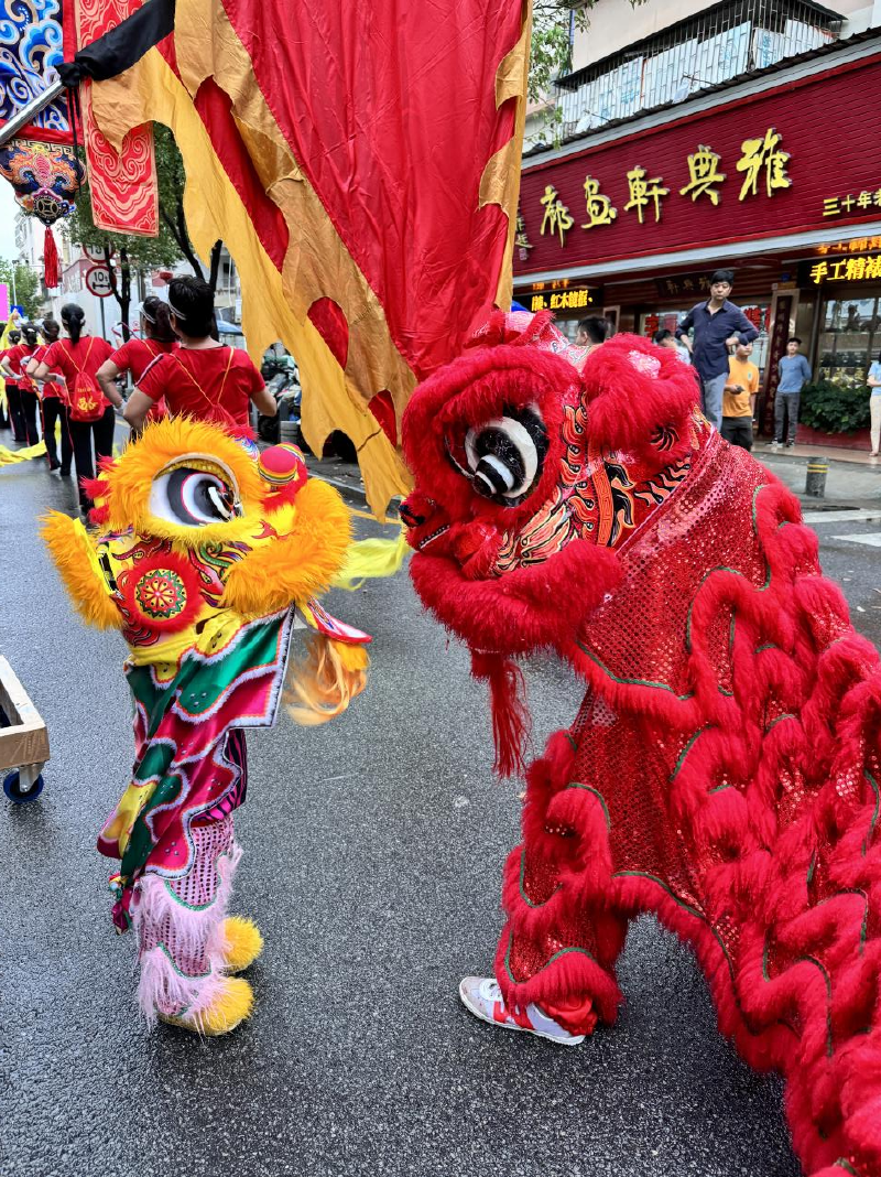 2岁尿布狮萌翻西乡三月三宝安一家三代传承非遗醒狮