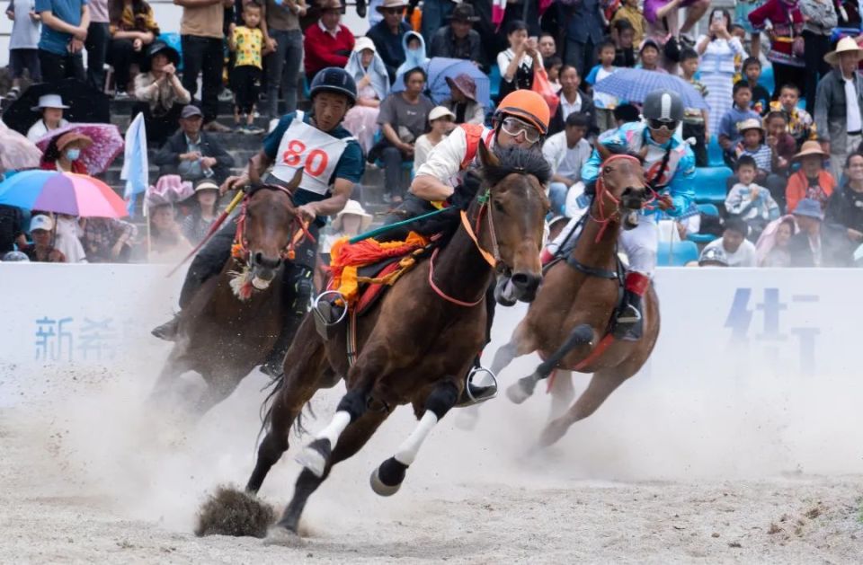 资料图片在这些地方乡绅,军政首脑的倡导下,大理地