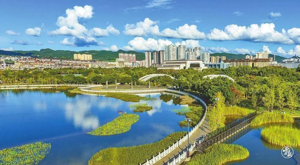 央媒,省媒报道文山市优化营商环境这些经验做法