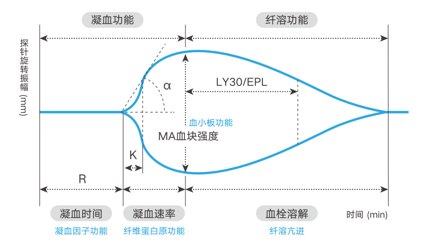 血栓弹力图angle图片