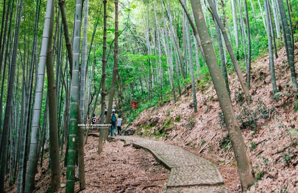 上海陆地第二峰,山上矗立着"世界第一斜塔",还有一个神秘山洞