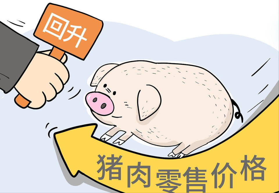 11月17日猪价"雄起",上涨逻辑找到,猪价要超跌大涨?