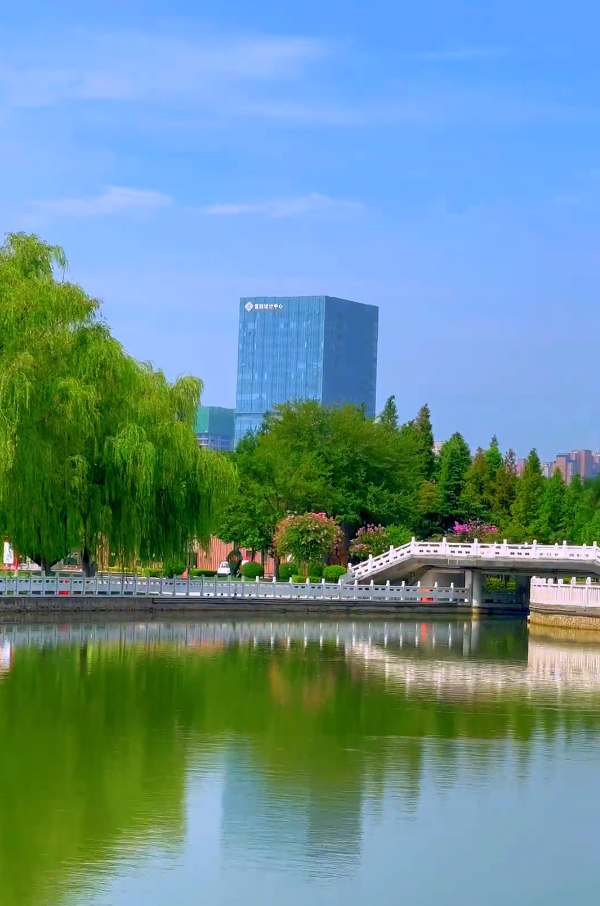 暑未尽秋已至商丘市日月湖景区清凉模式已开启