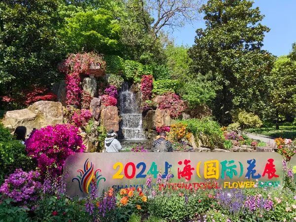 2024上海(国际)花展开幕,最出片的打卡点都找好了!