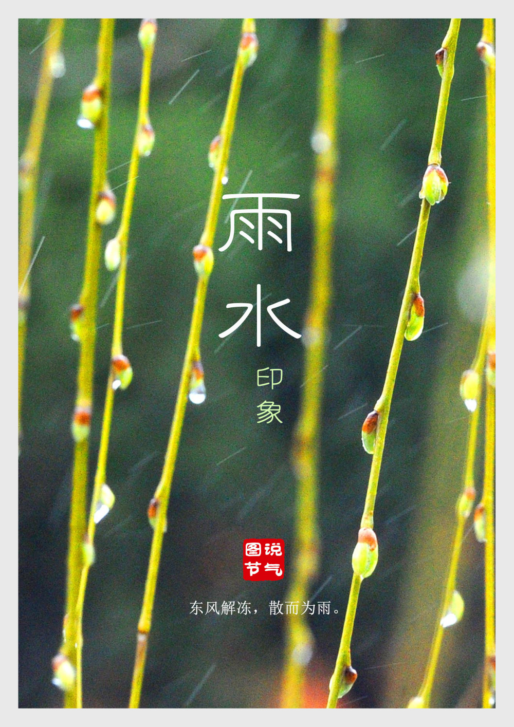 时光相册 | 图说节气:雨水印象
