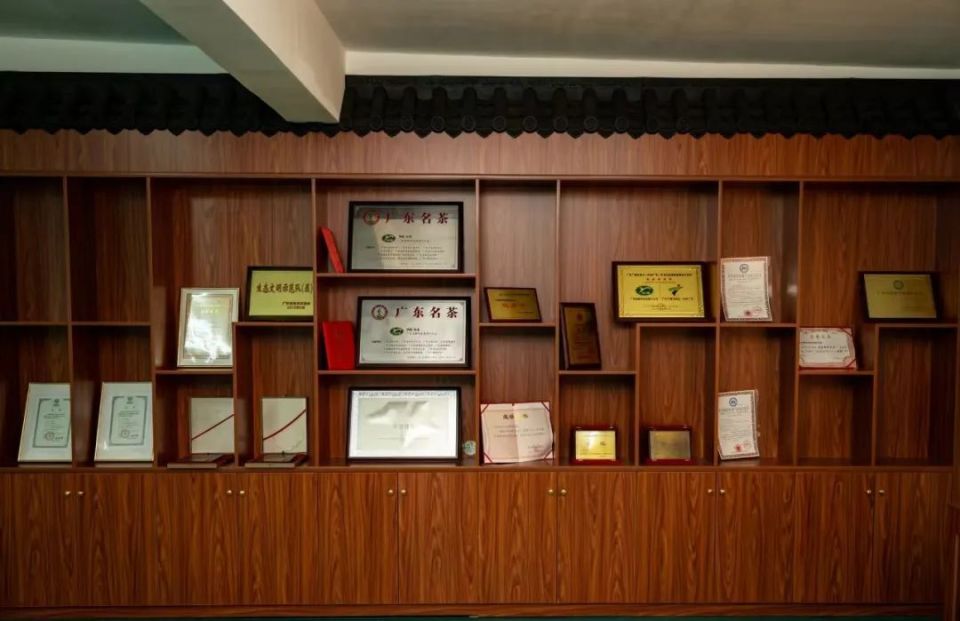 茂名"信"字号 | "华煌"茶叶,广东名茶