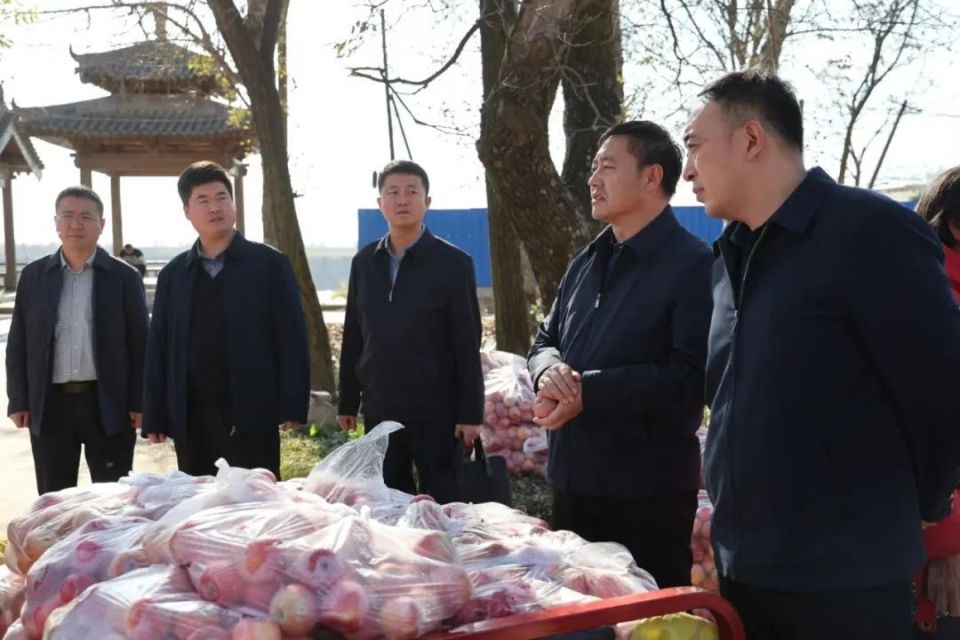 张晶调研当前重点工作