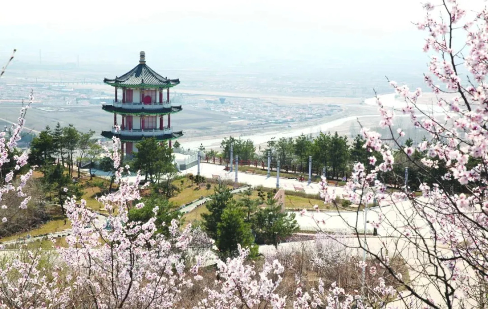 龙井碧岩山风景介绍图片