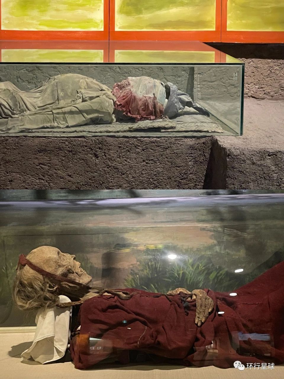 新疆干尸,终于看见了_腾讯新闻