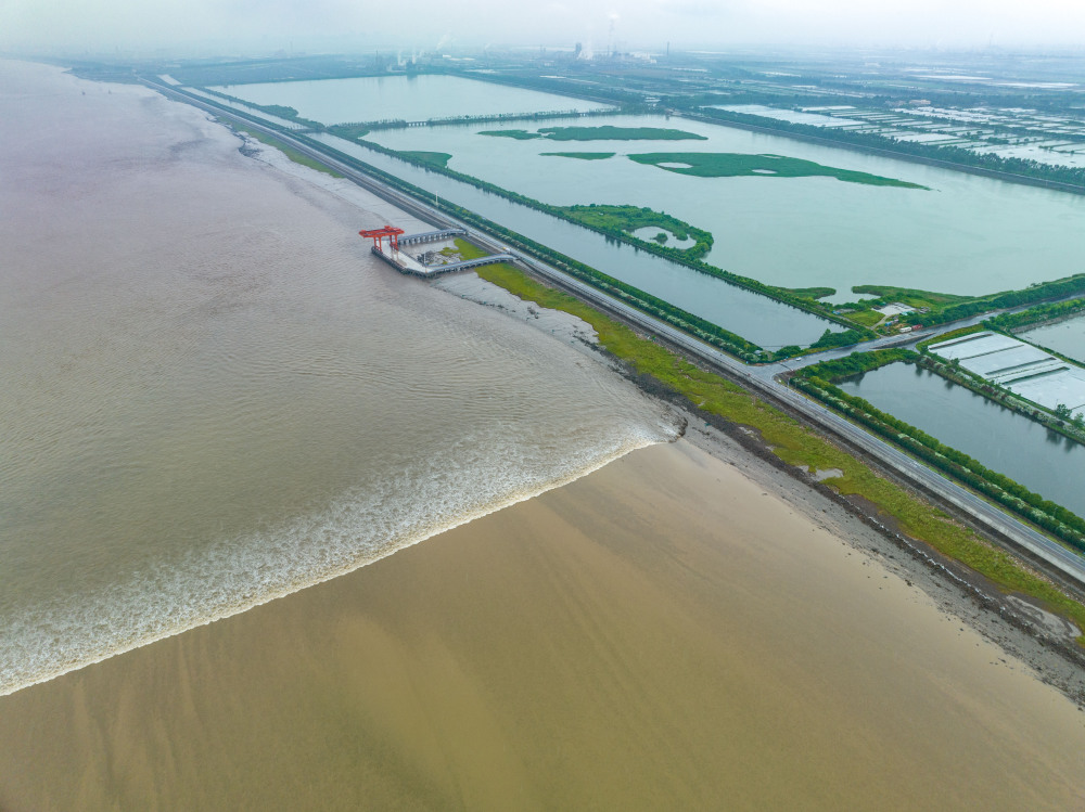 浙江杭州：钱塘江湿地风光美_腾讯新闻