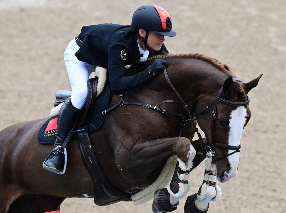 马术场地障碍个人赛赛况