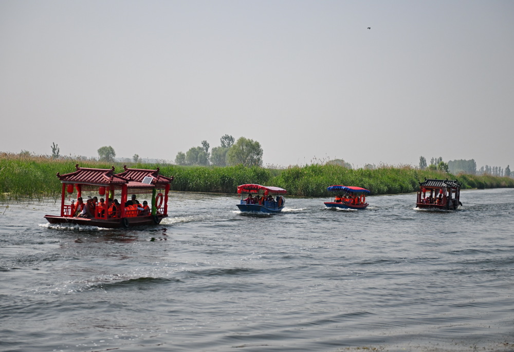 新华社记者 牟宇 摄这是雄安新区白洋淀旅游码头景色(5月8日摄,无人机