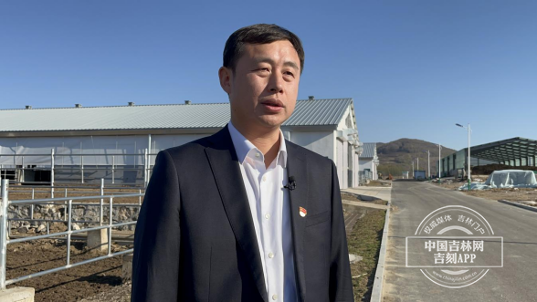 高质量发展县域行桦甸市委副书记市长修立宇坚持质量兴牧品牌强牧推动