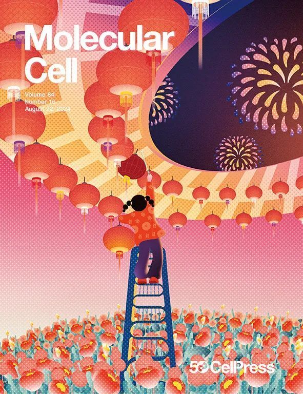 2024年8月，哪些研究登上了Cell Press期刊封面？_腾讯新闻