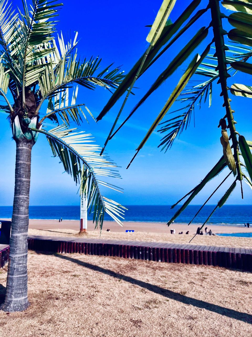 亲测假期去日照这些你一定要看