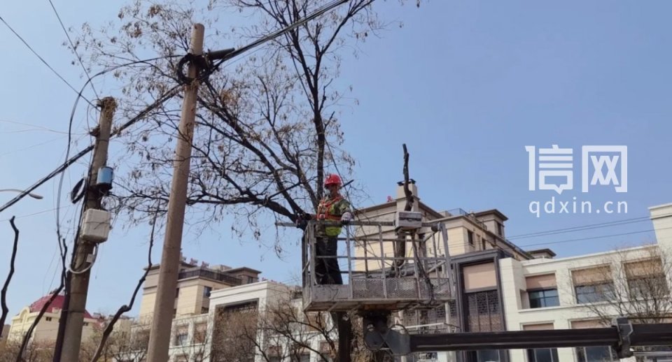 绿化如何修剪好看