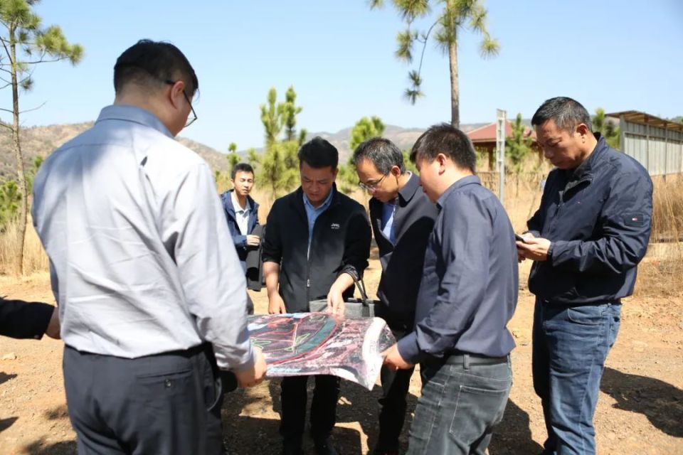 区领导李江,李林,李晓吉,王会飞,区自然资源局,区水务局,区城市管理局