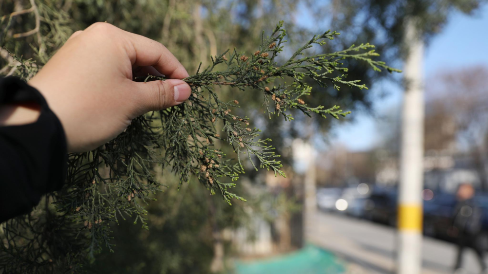 北京协和主任医生详解过敏：40％的人群存在过敏，但人们还未能充分认识它_腾讯新闻