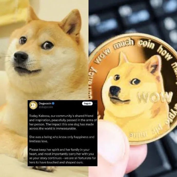 doge表情包柴犬去世:也是狗狗币原型
