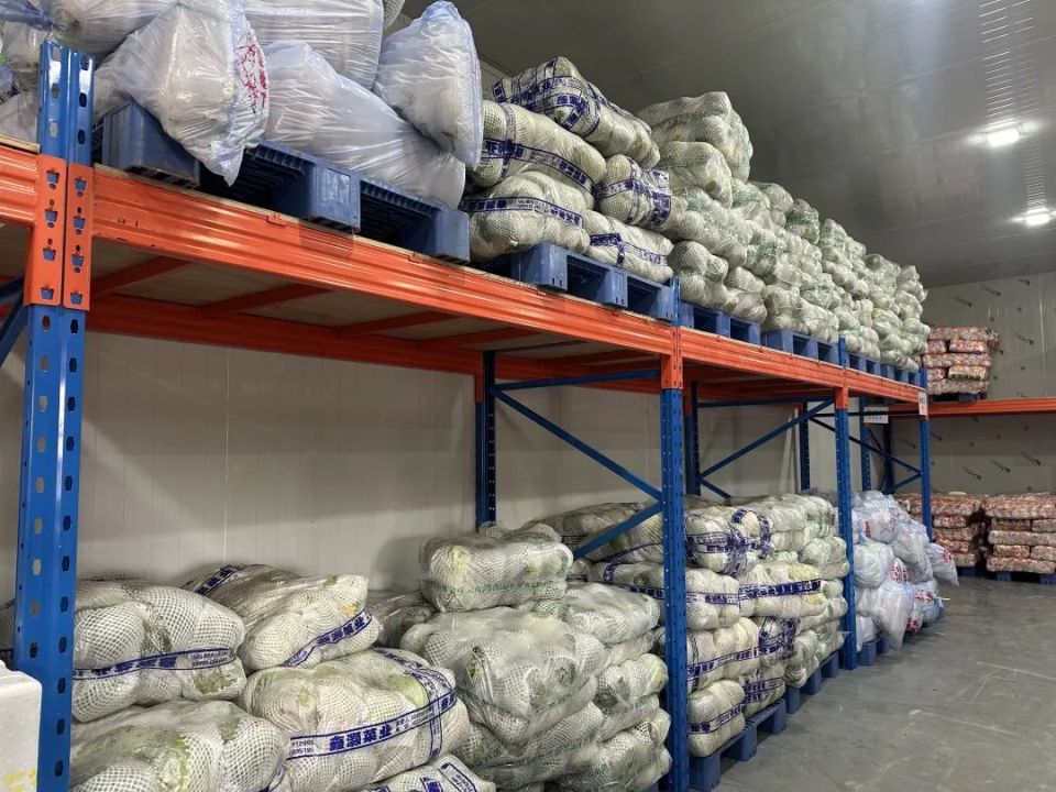 陵水:多措并举保障蔬菜调运 全力应对台风"摩羯"