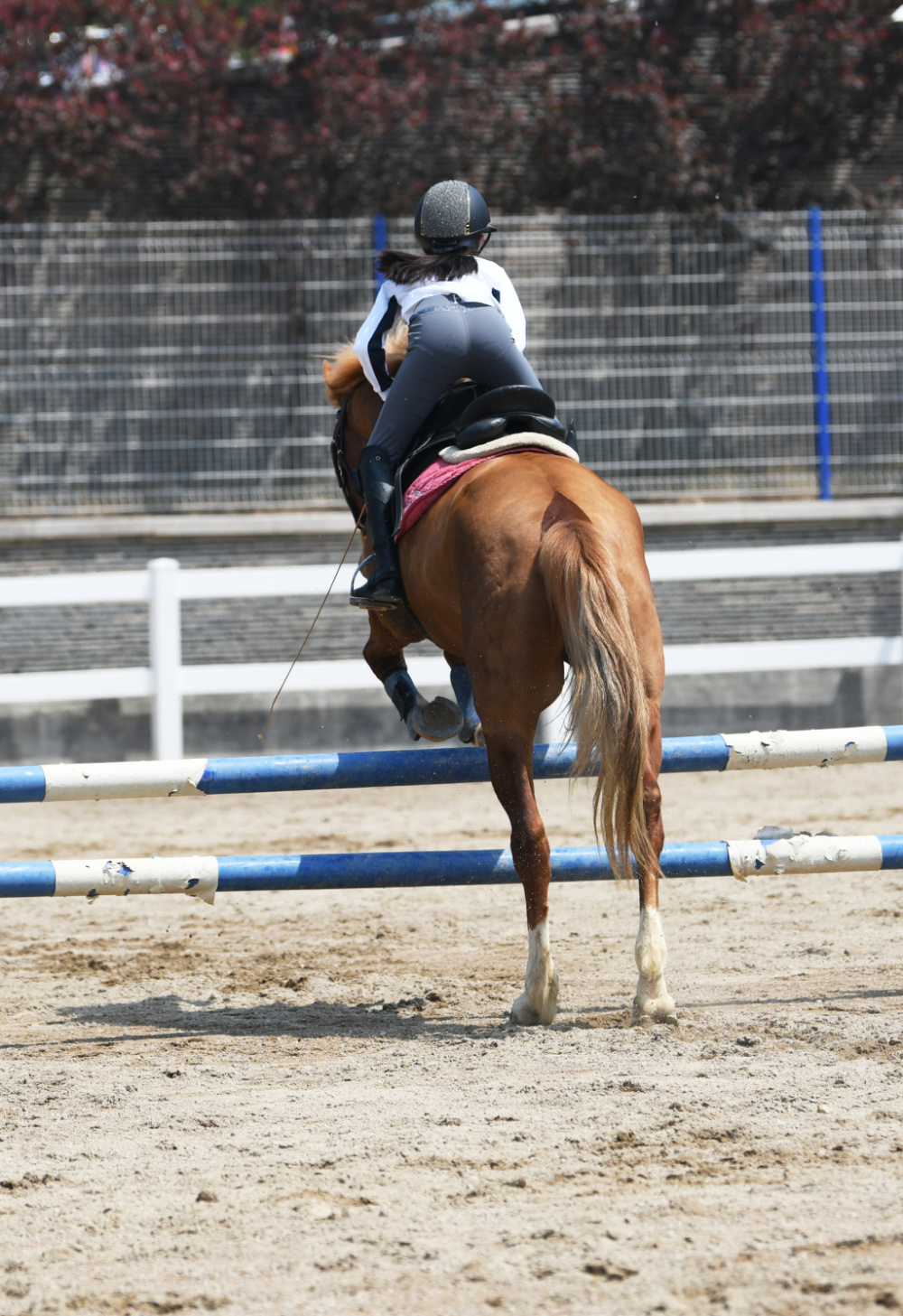 王修山说,几乎每个马术娱乐者都有从马背上