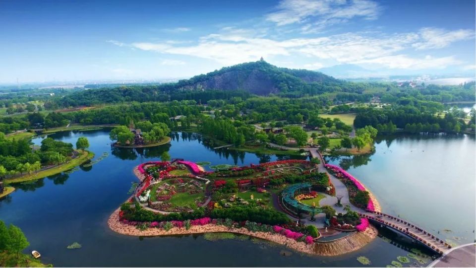 半价,免票!中国旅游日,松江这些景点推出优惠福利