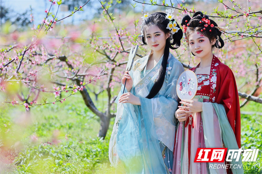 桃花朵朵开韶山市第二届花朝节暨乡村文化旅游节来了