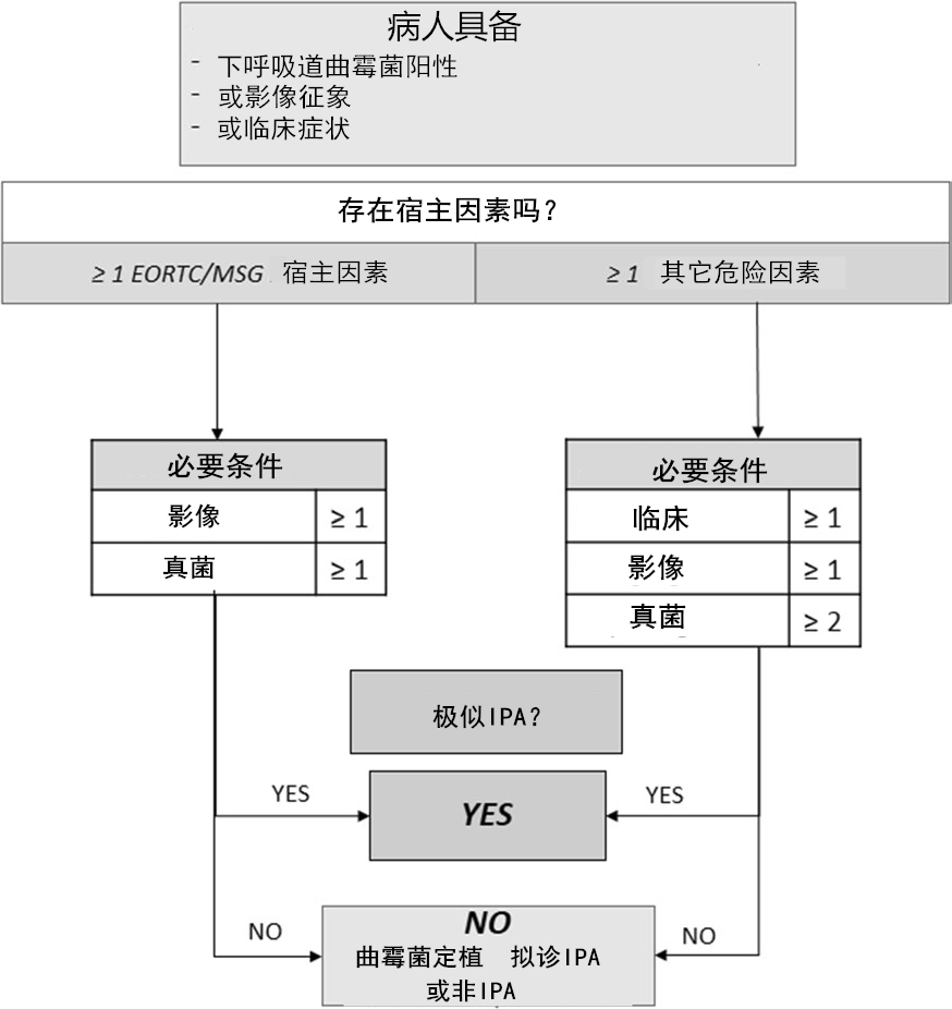 查到真菌，如何判定是「定植」还是「感染」？_腾讯新闻