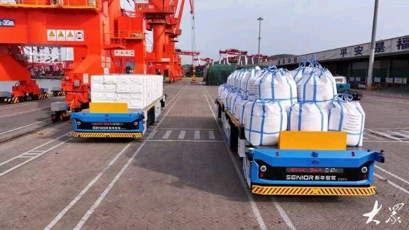 数字化不止集装箱!青岛港创新打造多货种自动化码头