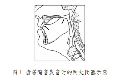 為什么“嘬嘬嘬”是全國統(tǒng)一的叫狗方式