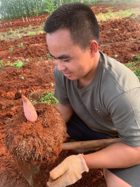 2024年全国科技小院大会侧记|那些满是"土"味的年轻人