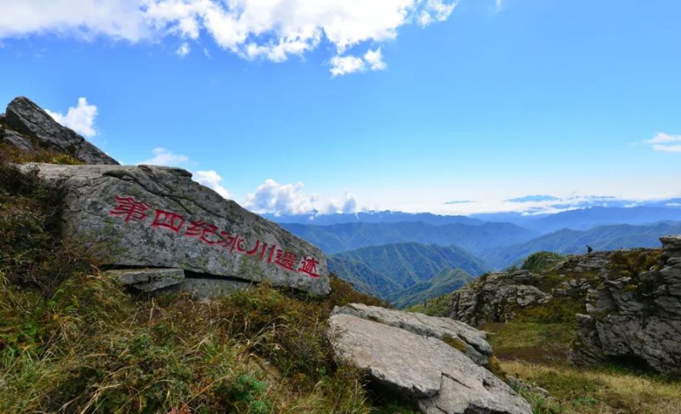 漫游秦楚古道 醉赏杜鹃花海