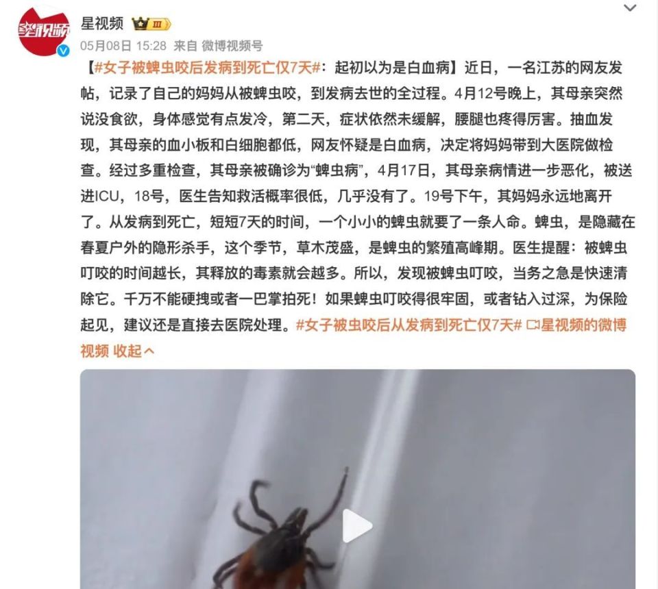 女子被蜱虫咬7天后死亡!武汉,宜昌,十堰均有病例!