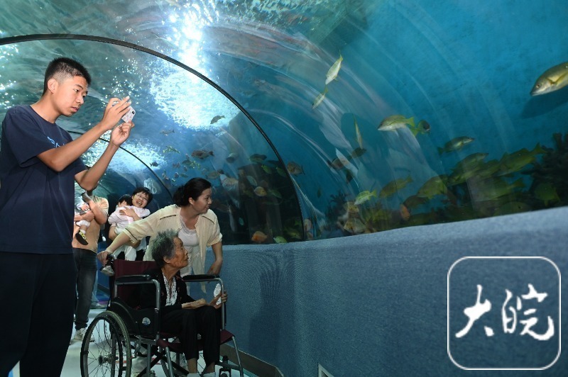 合肥海洋馆端午假期亲子游成亮点