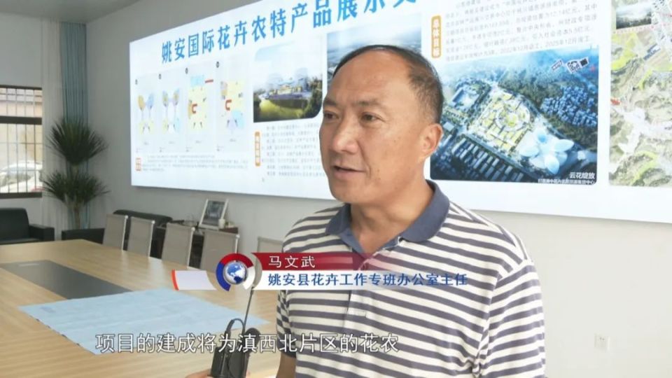 姚安：重点项目建设为花卉产业发展助力_腾讯新闻