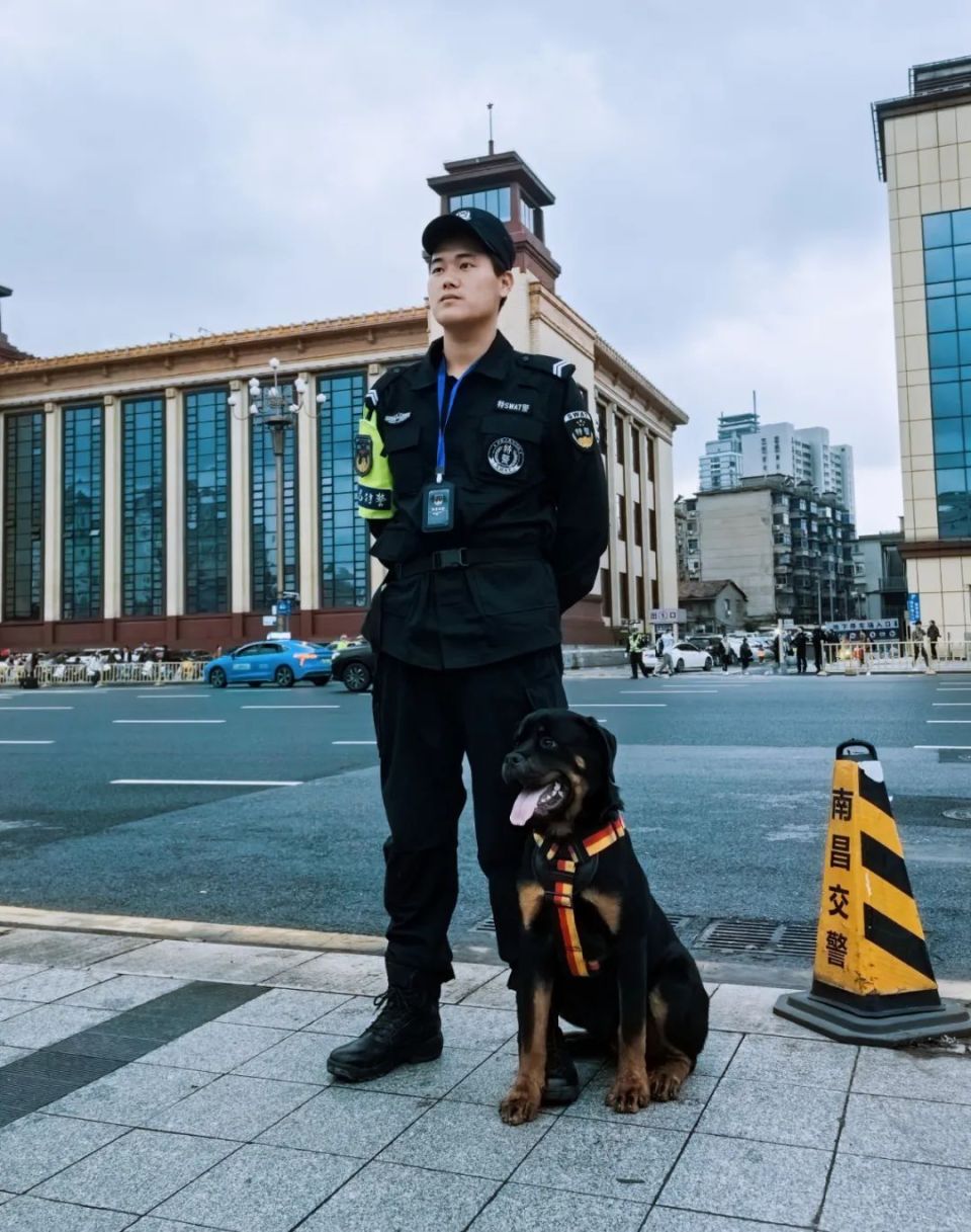 大型警犬图片 警察图片