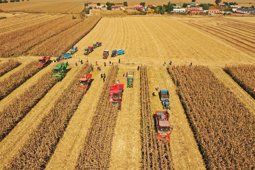 梨树:发展现代化大农业 黑土地筑牢"大粮仓"_腾讯新闻