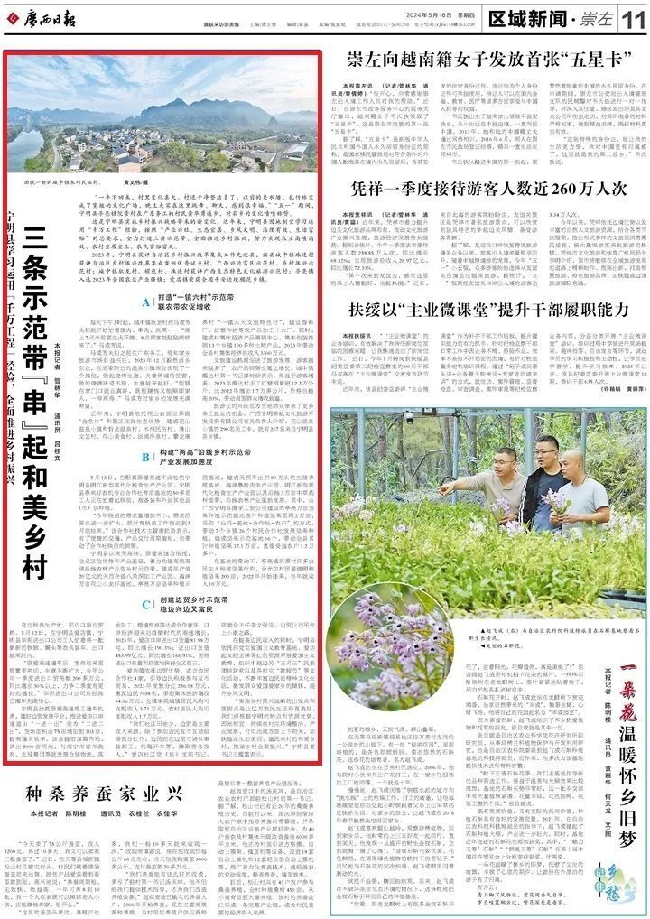 【主流媒体看宁明(283)】广西日报 ——三条示范带"串"起和美乡村